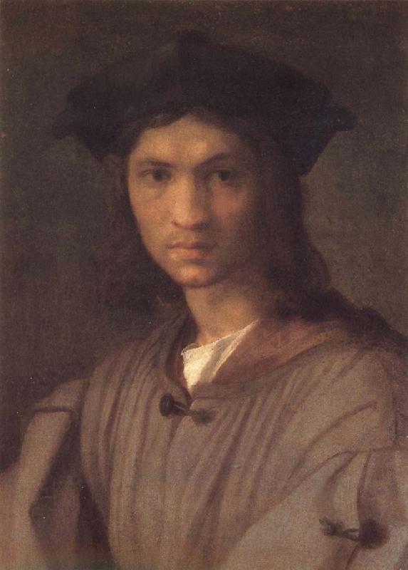 Andrea del Sarto Potrait of man